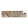 Bitten Bride Bumper Stickers