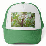 Bittercress (Cardamine hirsuta) Flower and Leaves Mesh Hat
