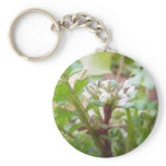 Bittercress (Cardamine hirsuta) Flower and Leaves Keychains