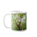 Bittercress (Cardamine hirsuta) Flower and Leaves Coffee Mug