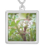Bittercress (Cardamine hirsuta) Flower and Leaves Custom Necklace
