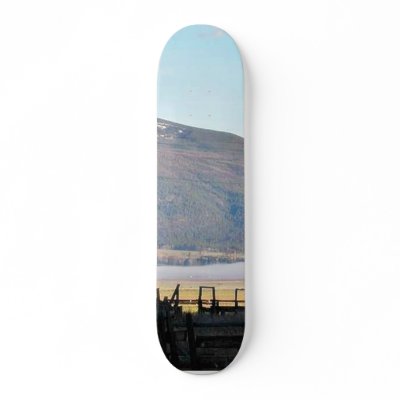 Bitterroot Mountains Fields Skate Boards by lifesphere