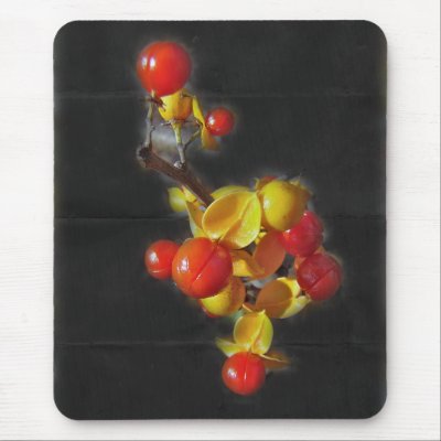Bittersweet Berries - Autumn Beauty Mousepad by CarolsCamera
