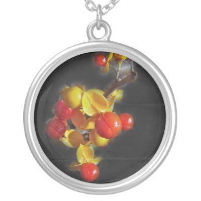 Bittersweet Berries - Autumn Beauty Necklace by CarolsCamera