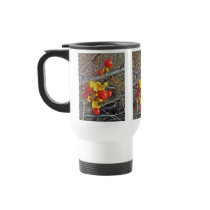 Bittersweet Vine Berries Items Mug