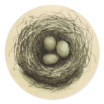 Bitty Bird Nest Round Stickers
