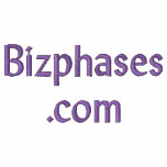 Bizphases.com Hoody