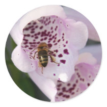 BIZY BEE STICKER
