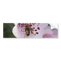 BIZY BEE STICKER BUMPER STICKER