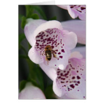 BIZZY BEE CARD