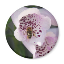 BIZZY BEE FRIDGE MAGNETS