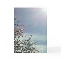 Bizzy Beezzzzz Card