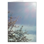 Bizzy Beezzzzz Card