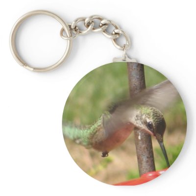 BK- Hummingbird Keychain by patcallum
