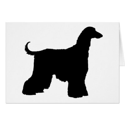 Black Afghan Hound Dog Greeting Cards by dogsandhorses
