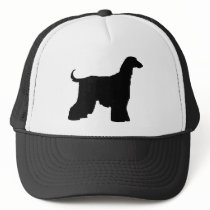 Black Afghan Hound Dog