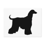 Black Afghan Hound Dog postcards