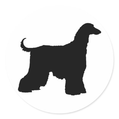 Black Afghan Hound Dog by dogsandhorses