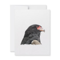 Black African Bateleur Eagle