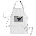 Black alpine goat doe running away to right apron