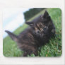 Black and brown baby kitten mousepad