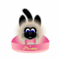 Black And Brown Cat With Pink Tie In A Bed