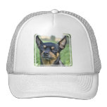 Black and Brown Chihuahua Baseball Hat