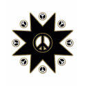 BLACK AND GOLD PEACE STAR t-shirts