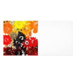 Black and orange floral photo cards