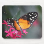 Black and Orange Spotted Butterfly 2 Mousepads