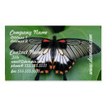Black and Pink Swallowtail Butterfly Business Card