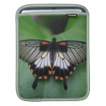 Black and Pink Swallowtail iPad Sleeve