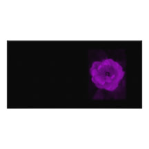 Black and Purple Rose. Customized Photo Card
