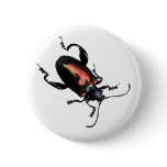 Black and Red Beetle bug Pins