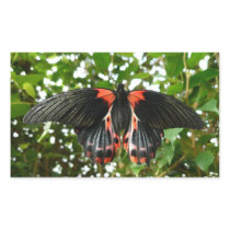 Black and Red Butterfly Rectangle Stickers