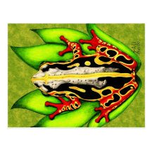 Black and Red Tree Frog Postcards