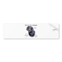 Black and Tan Coonhound History Design