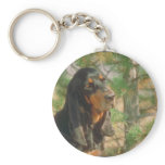 Black and Tan Coonhound Key Chains
