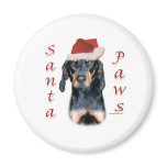 Black and Tan Coonhound Santa Paws