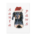 Black and Tan Coonhound Santa Paws