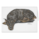 Black and Tan Doberman Dog Lying Low Cards