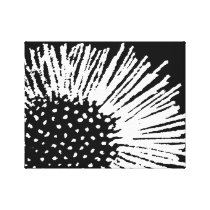 Black and White Abstract Floral