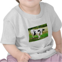Black and White Apostrophe S Cow