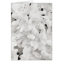 Black and White Azalea Flowers Greeting Card