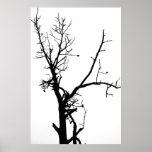 Black and White Bare Tree posters