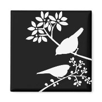 Black and White Birds