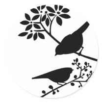 Black and White Birds