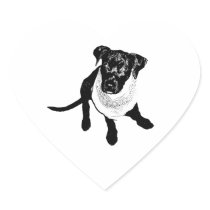 Black and White Black Lab Puppy image