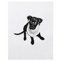Black and White Black Lab Puppy image