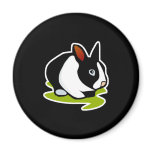black and white bunny rabbit magnets